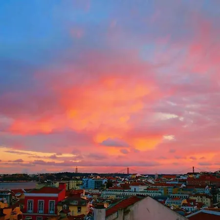 Rosa * Lissabon